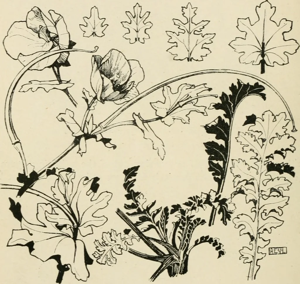 An illustration from A book of studies in plant form with some suggestions for their application to design, 1896, leaf 57
