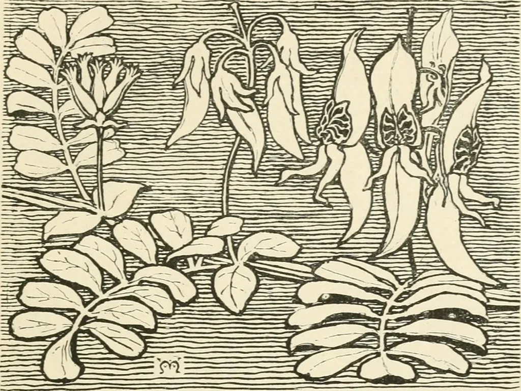 An illustration from A book of studies in plant form with some suggestions for their application to design, 1896, leaf 62