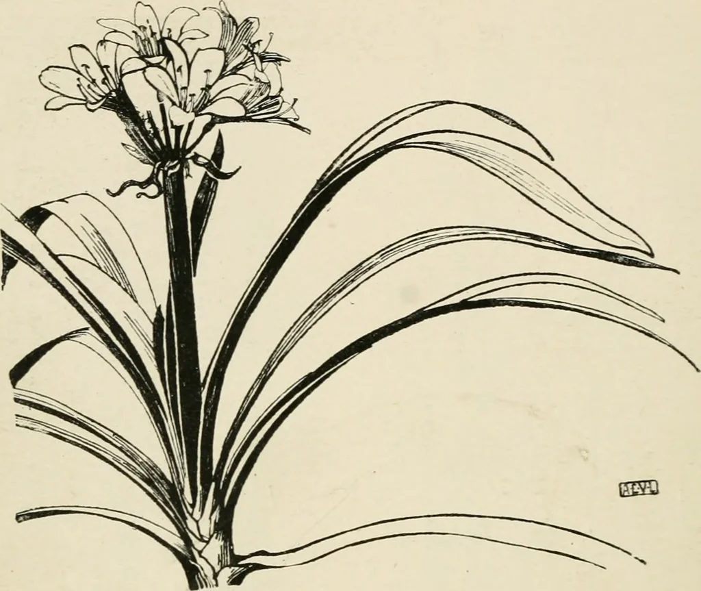 An illustration from A book of studies in plant form with some suggestions for their application to design, 1896, leaf 79