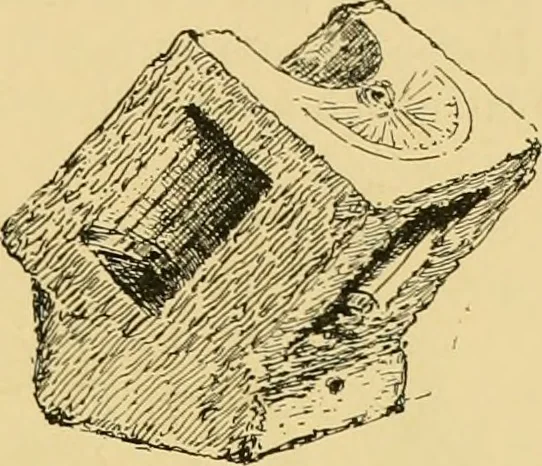 An illustration from The book of sun-dials; originally compiled by the late Mrs. Alfred Gatty; now enl. and re-edited by H. K. F. Eden and Eleanor Lloyd, 1900, leaf 136
