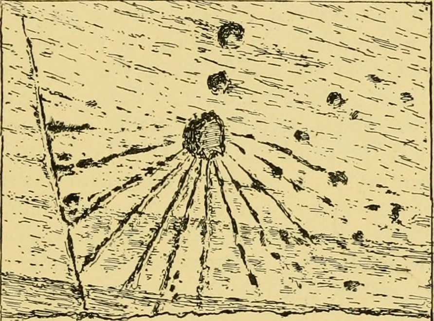 An illustration from The book of sun-dials; originally compiled by the late Mrs. Alfred Gatty; now enl. and re-edited by H. K. F. Eden and Eleanor Lloyd, 1900, leaf 94