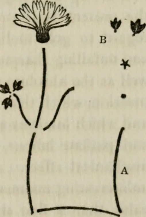 An illustration from The binding of books; an essay in the history of gold-tooled bindings, 1894, leaf 248