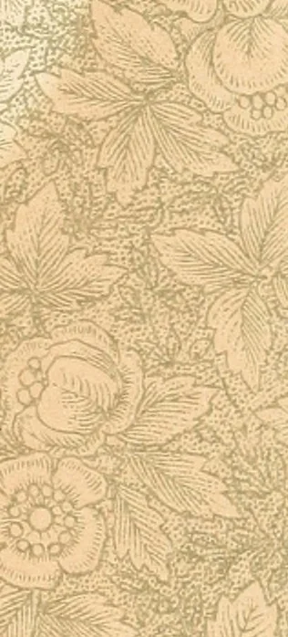 An illustration from A book written by the spirits of the so-called dead, with their own materialized hands by the process of independent slate-writing through Mrs. Lizzie S. Green and others as mediums, 1883, leaf 269