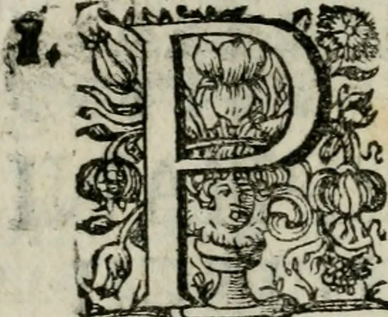 An illustration from Bos in lingua sive discursus academicus de pecuniis vetero-novis a Joanne Stephano Floriantschitsch de Grienfeld .., 1695, leaf 17
