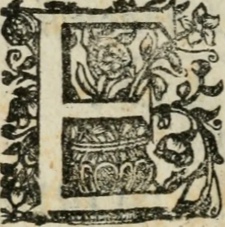 An illustration from Bos in lingua sive discursus academicus de pecuniis vetero-novis a Joanne Stephano Floriantschitsch de Grienfeld .., 1695, leaf 5