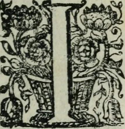 An illustration from Bos in lingua sive discursus academicus de pecuniis vetero-novis a Joanne Stephano Floriantschitsch de Grienfeld .., 1695, leaf 8