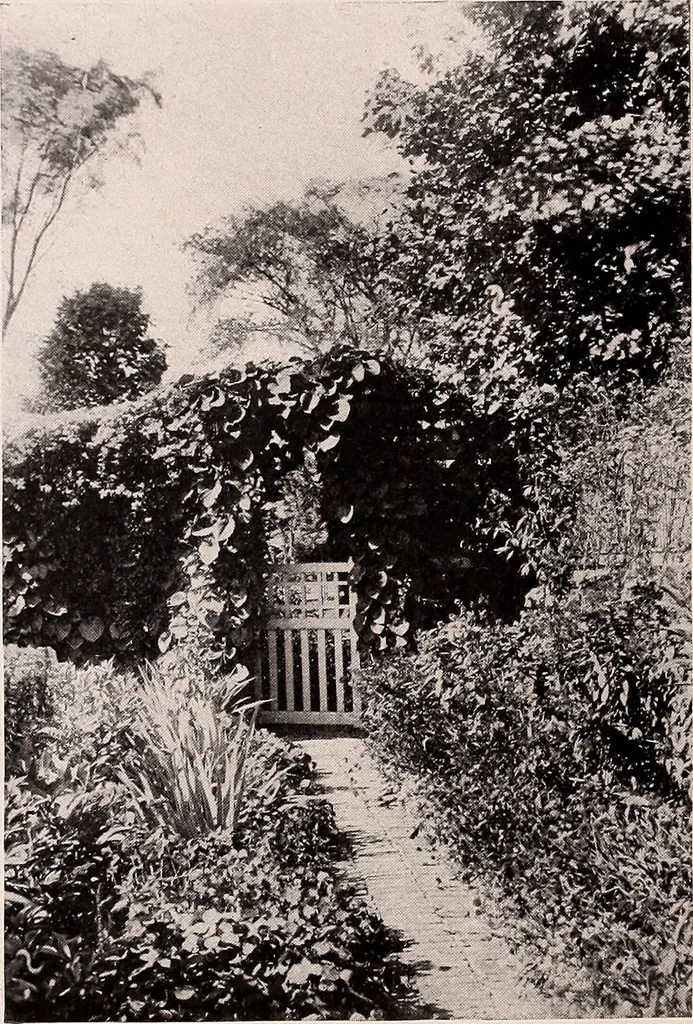 An illustration from Boston Architectural Club year book: containing reproductions from the various exhibitions held in the club building during the year 1917, 1917, leaf 73