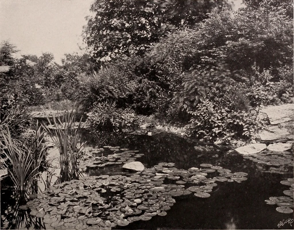 An illustration from Boston Architectural Club year book: containing reproductions from the various exhibitions held in the club building during the year 1917, 1917, leaf 74