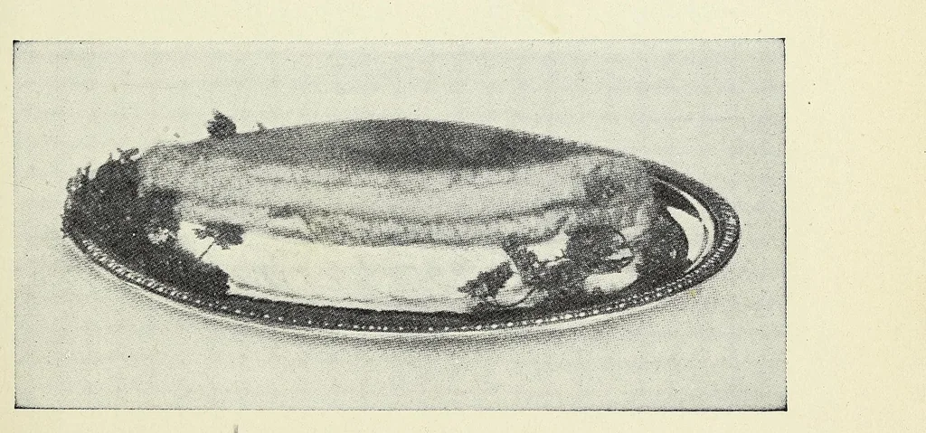 An illustration from The Boston cooking-school cook book, 1918, leaf 139