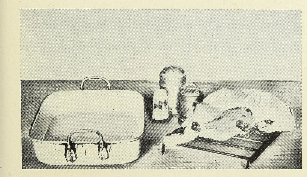 An illustration from The Boston cooking-school cook book, 1918, leaf 309