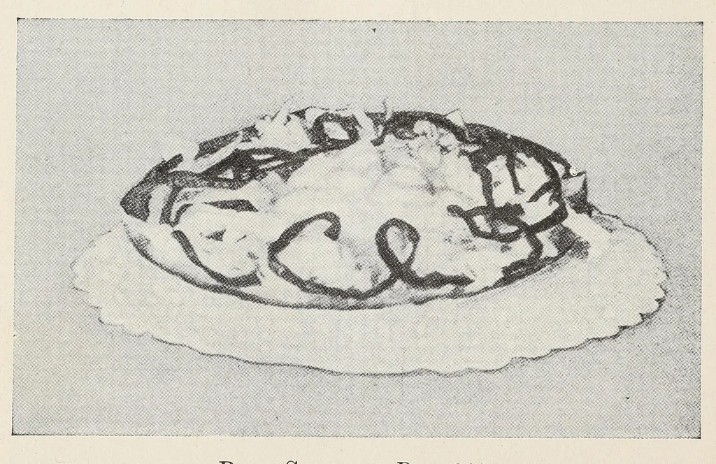 An illustration from The Boston cooking-school cook book, 1918, leaf 390