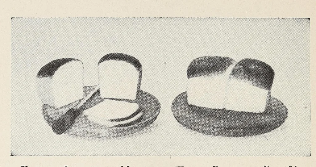 An illustration from The Boston cooking-school cook book, 1918, leaf 72