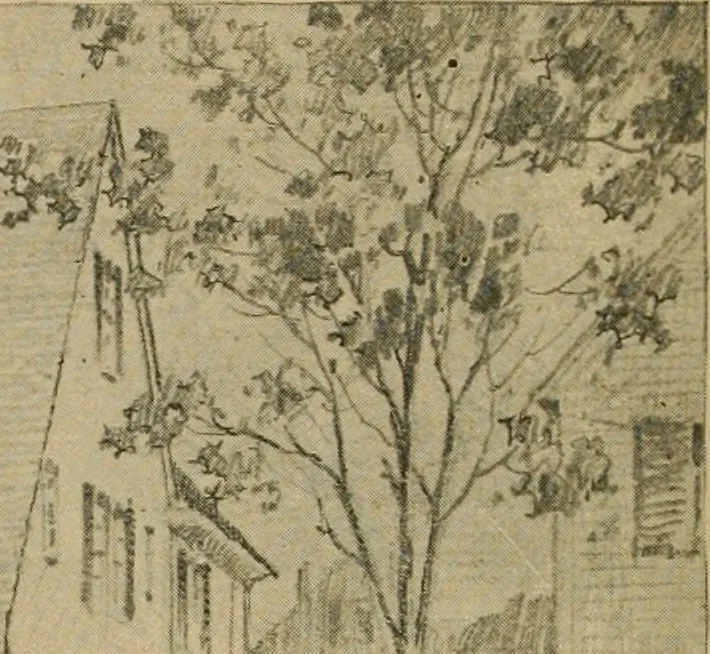 An illustration from Boston Herald-Traveler's book of homes : how to plan, finance and build your home, 1922, leaf 47