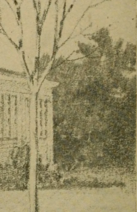 An illustration from Boston Herald-Traveler's book of homes : how to plan, finance and build your home, 1922, leaf 53
