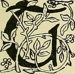 An illustration from Boston public schools : outline of lessons in drawing, 1898-99, 1898, leaf 10