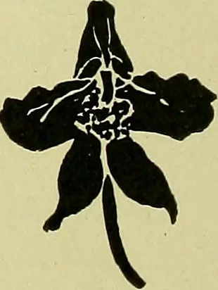 An illustration from Boston public schools : outline of lessons in drawing, 1898-99, 1898, leaf 109
