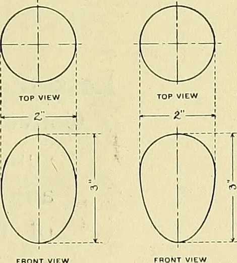 An illustration from Boston public schools : outline of lessons in drawing, 1898-99, 1898, leaf 124
