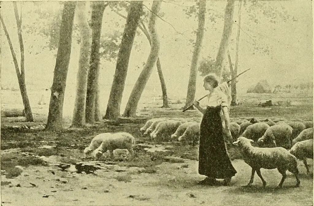 An illustration from Boston public schools : outline of lessons in drawing, 1898-99, 1898, leaf 137