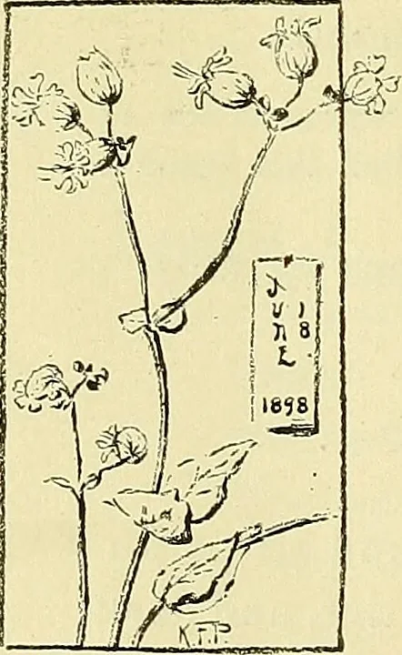 An illustration from Boston public schools : outline of lessons in drawing, 1898-99, 1898, leaf 157