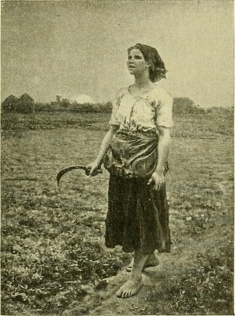 An illustration from Boston public schools : outline of lessons in drawing, 1898-99, 1898, leaf 158