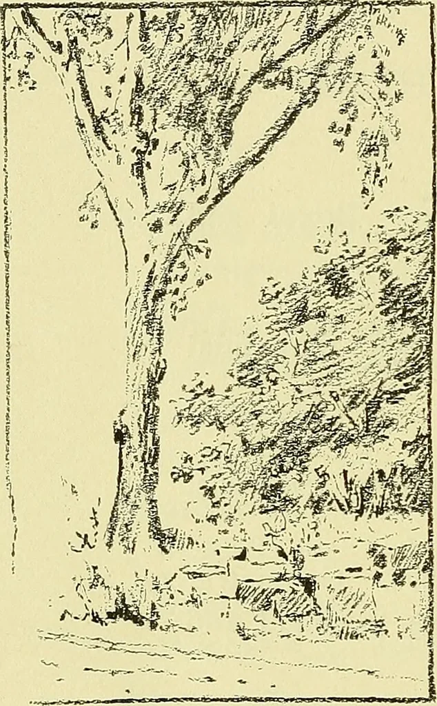 An illustration from Boston public schools : outline of lessons in drawing, 1898-99, 1898, leaf 161