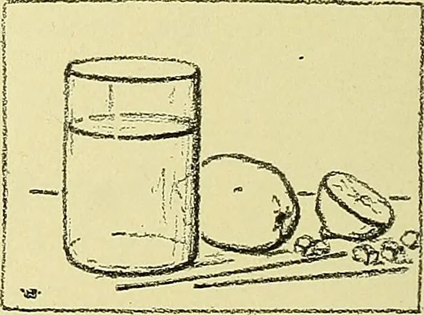 An illustration from Boston public schools : outline of lessons in drawing, 1898-99, 1898, leaf 161