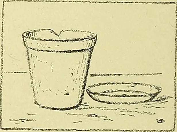An illustration from Boston public schools : outline of lessons in drawing, 1898-99, 1898, leaf 163