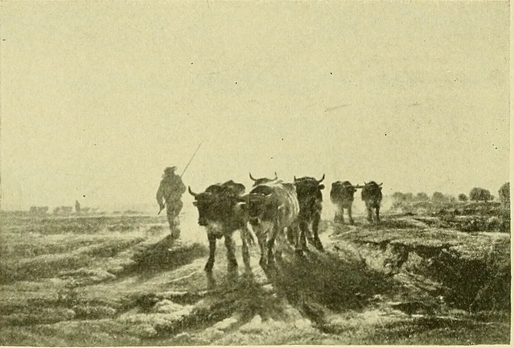 An illustration from Boston public schools : outline of lessons in drawing, 1898-99, 1898, leaf 163