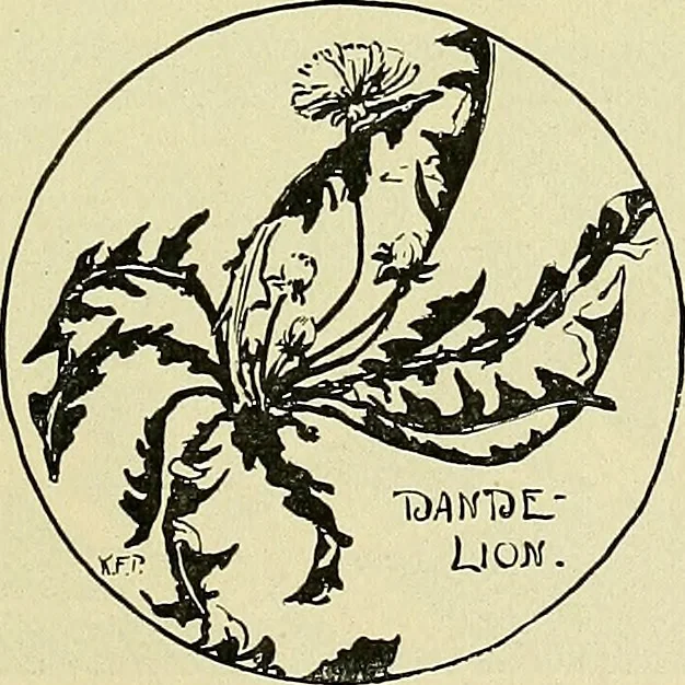 An illustration from Boston public schools : outline of lessons in drawing, 1898-99, 1898, leaf 176