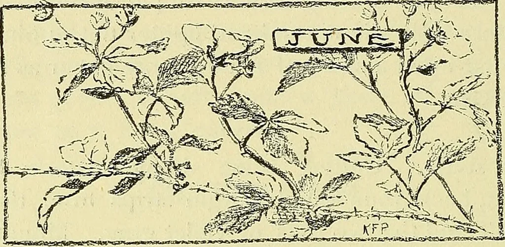 An illustration from Boston public schools : outline of lessons in drawing, 1898-99, 1898, leaf 177