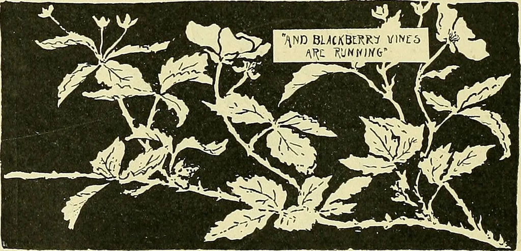 An illustration from Boston public schools : outline of lessons in drawing, 1898-99, 1898, leaf 177