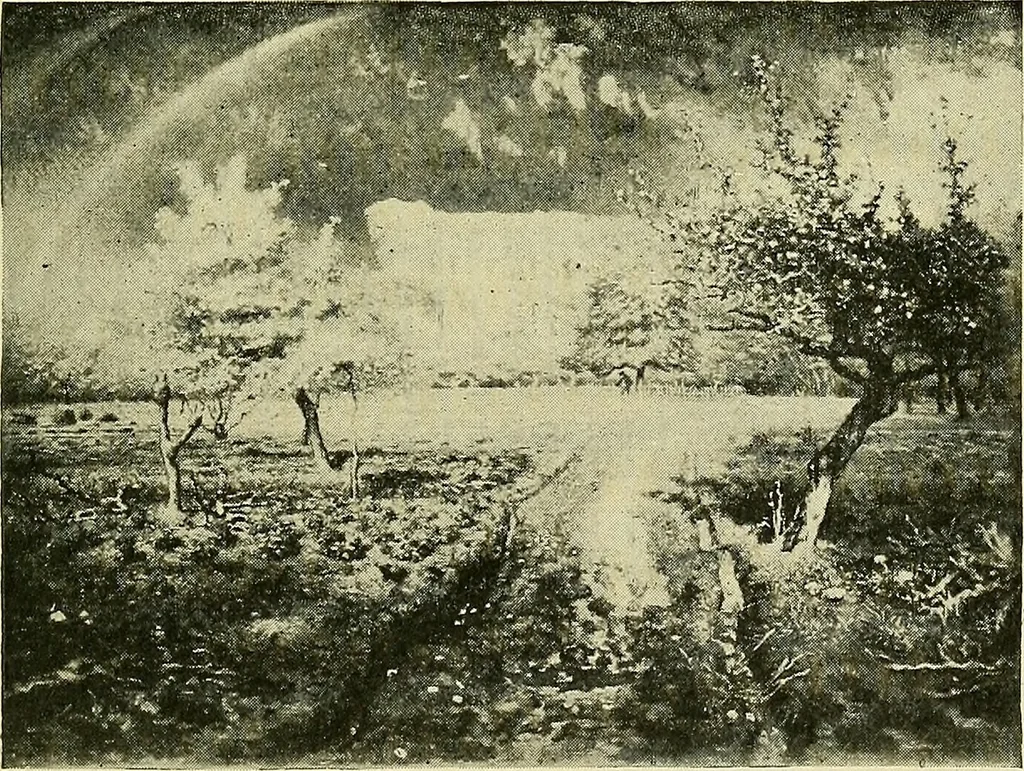 An illustration from Boston public schools : outline of lessons in drawing, 1898-99, 1898, leaf 178
