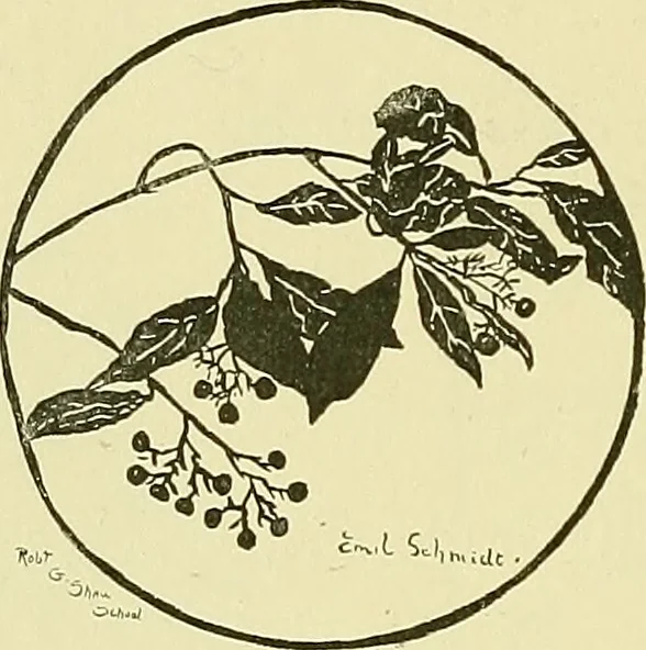 An illustration from Boston public schools : outline of lessons in drawing, 1898-99, 1898, leaf 183