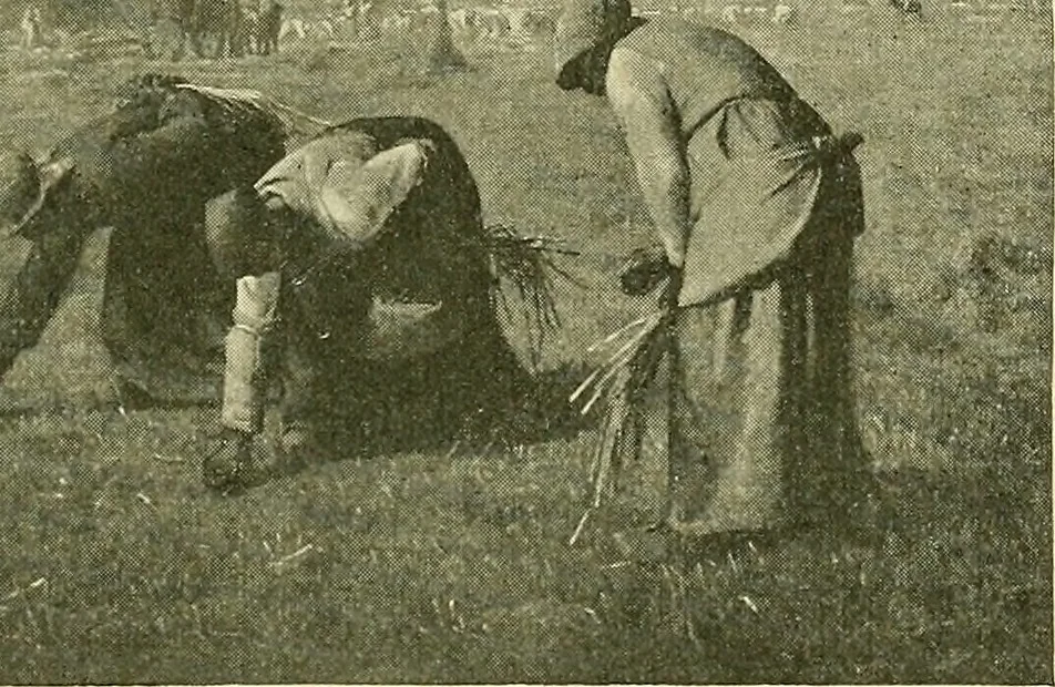 An illustration from Boston public schools : outline of lessons in drawing, 1898-99, 1898, leaf 184