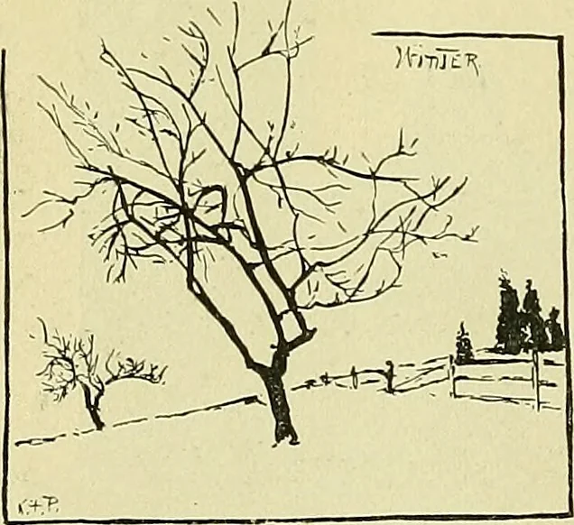 An illustration from Boston public schools : outline of lessons in drawing, 1898-99, 1898, leaf 193