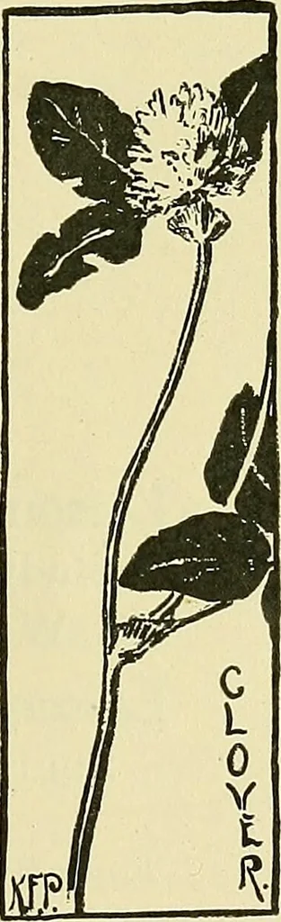 An illustration from Boston public schools : outline of lessons in drawing, 1898-99, 1898, leaf 196