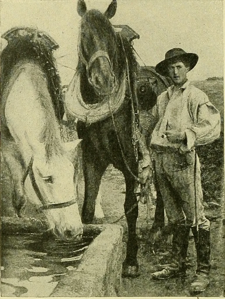 An illustration from Boston public schools : outline of lessons in drawing, 1898-99, 1898, leaf 197
