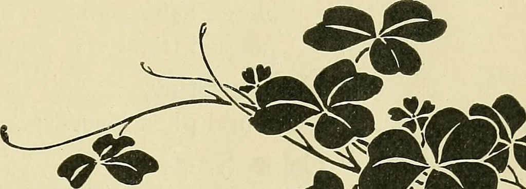 An illustration from Boston public schools : outline of lessons in drawing, 1898-99, 1898, leaf 20