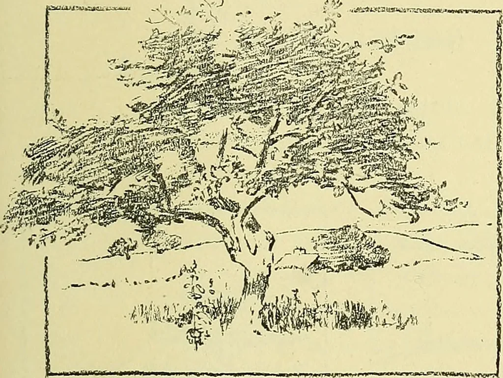 An illustration from Boston public schools : outline of lessons in drawing, 1898-99, 1898, leaf 200