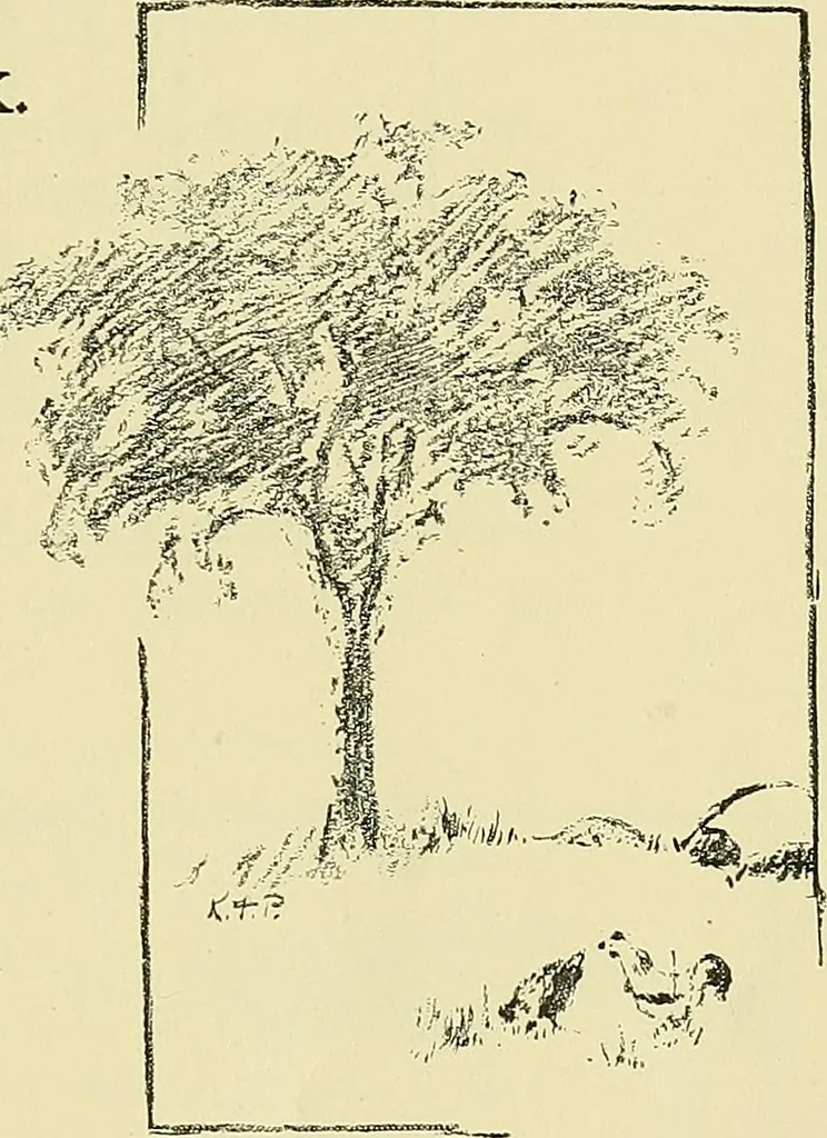 An illustration from Boston public schools : outline of lessons in drawing, 1898-99, 1898, leaf 200