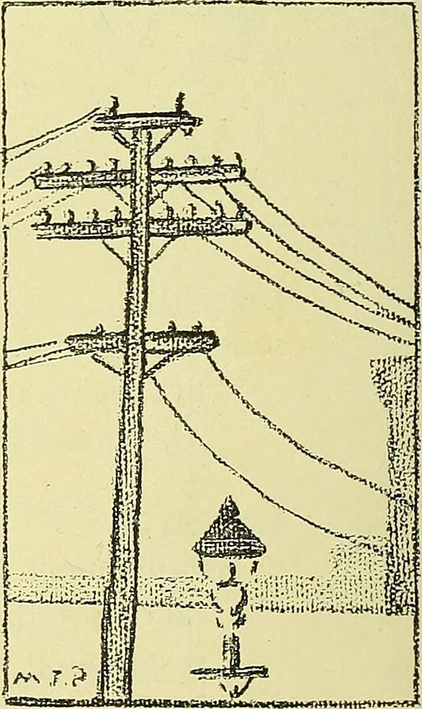 An illustration from Boston public schools : outline of lessons in drawing, 1898-99, 1898, leaf 201
