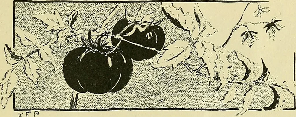 An illustration from Boston public schools : outline of lessons in drawing, 1898-99, 1898, leaf 218