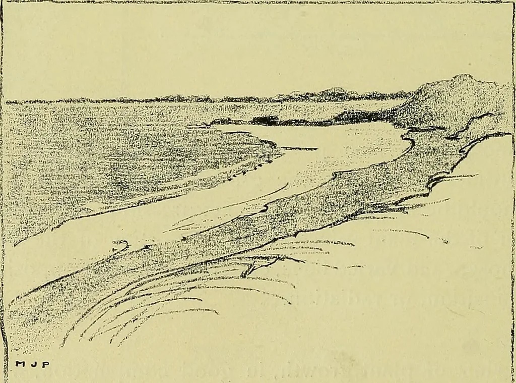 An illustration from Boston public schools : outline of lessons in drawing, 1898-99, 1898, leaf 219