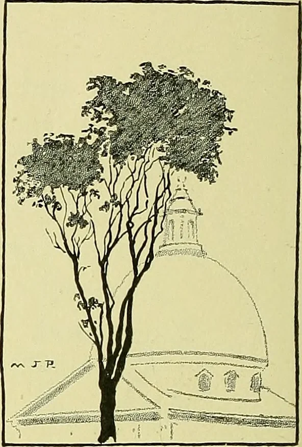 An illustration from Boston public schools : outline of lessons in drawing, 1898-99, 1898, leaf 223