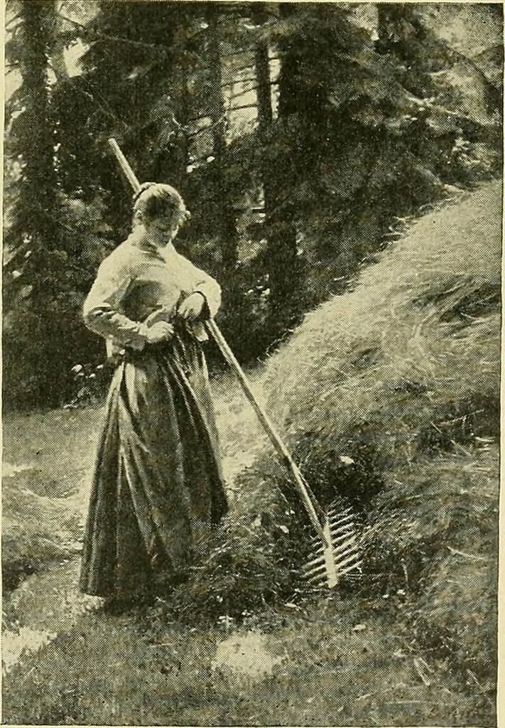 An illustration from Boston public schools : outline of lessons in drawing, 1898-99, 1898, leaf 228
