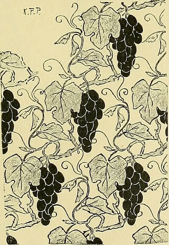 An illustration from Boston public schools : outline of lessons in drawing, 1898-99, 1898, leaf 240