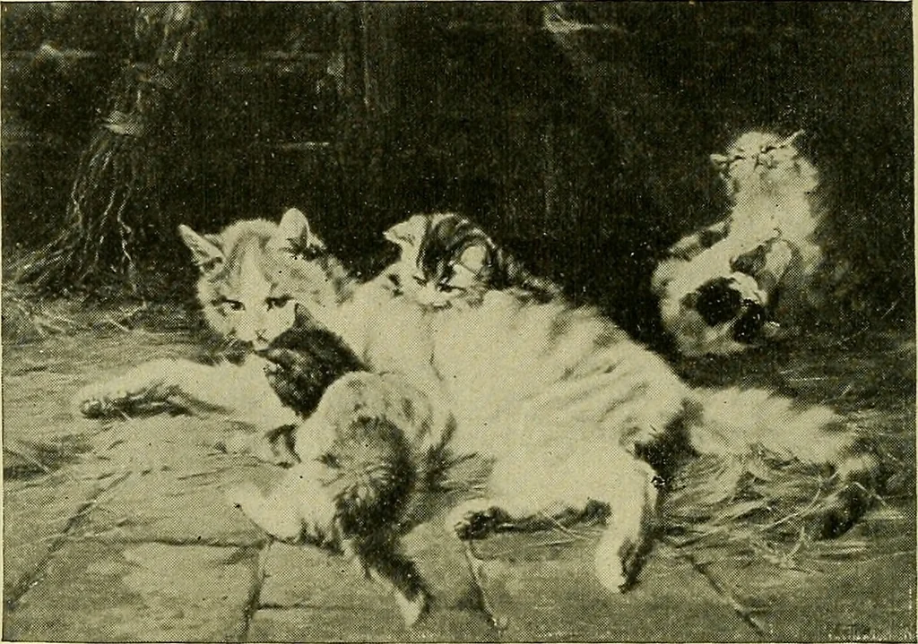 An illustration from Boston public schools : outline of lessons in drawing, 1898-99, 1898, leaf 27