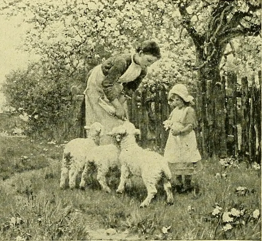 An illustration from Boston public schools : outline of lessons in drawing, 1898-99, 1898, leaf 49