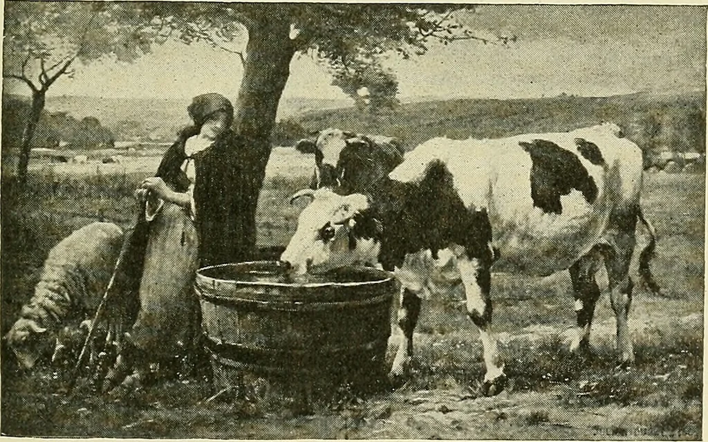 An illustration from Boston public schools : outline of lessons in drawing, 1898-99, 1898, leaf 76