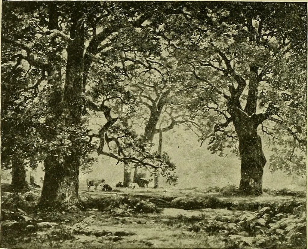 An illustration from Boston public schools : outline of lessons in drawing, 1898-99, 1898, leaf 85